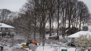 Vinterdag i Kirsebærgården
